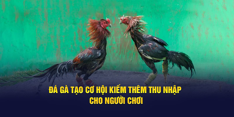 Đá gà tạo cơ hội kiếm thêm thu nhập cho người chơi