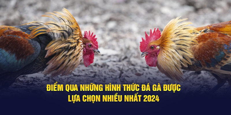 Điểm qua những hình thức đá gà được lựa chọn nhiều nhất 2024